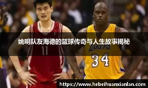 米乐YY易游